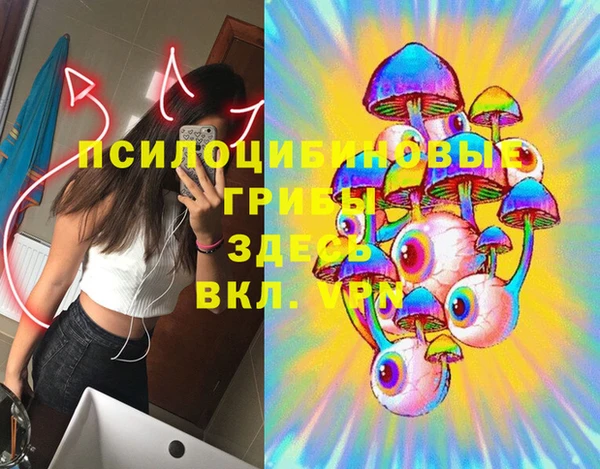 герыч Мегион