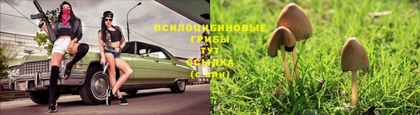 спиды Медногорск
