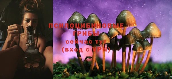 спиды Медногорск
