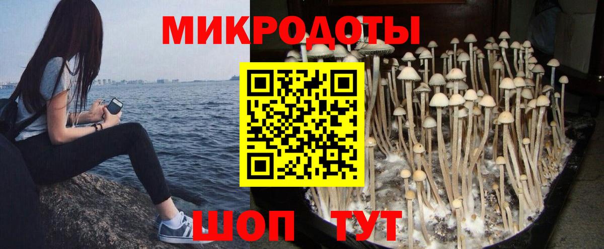 Галлюциногенные грибы Psilocybine cubensis  цены наркотик  Братск  Псилоцибиновые грибы мухоморы  Вход с VPN 