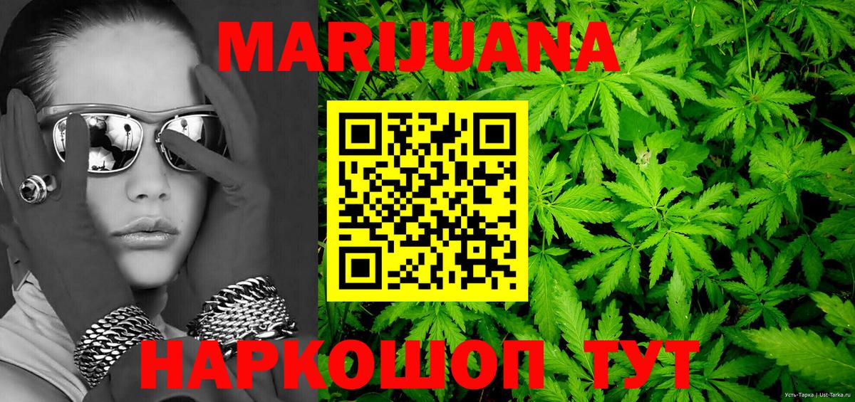 Каннабис White Widow  Шишки марихуана план  Братск  МАРИХУАНА Ganja  Шишки марихуана гибрид 